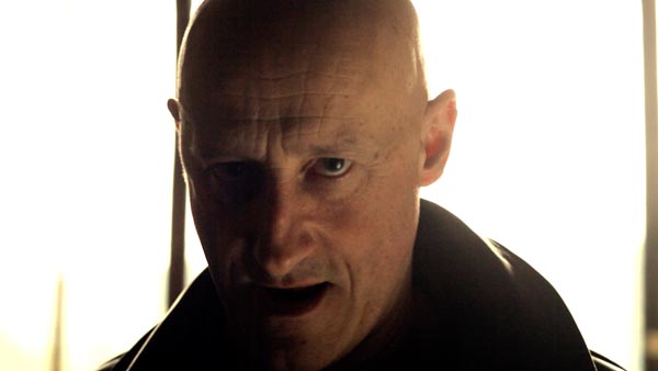 Mi vida entre las hormigas