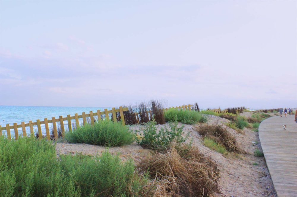 Sendero Azul Playa de Almenara ruta